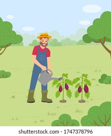 Man working on farm using watering can to care for eggplants. Growing aubergine at land. Farming and agriculture in rural area. Farmer at work caring for vegetable growth vector illustration
