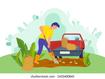 Man working on potato field vector, tractor machine for transportation of gathered production. Countryside nature, male using shovel farmer on farm