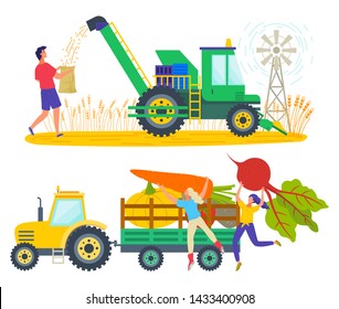 Man working on wheat field vector, character loading truck with products. Carrots and beetroots in carriage of tractor, transportation of production on farm