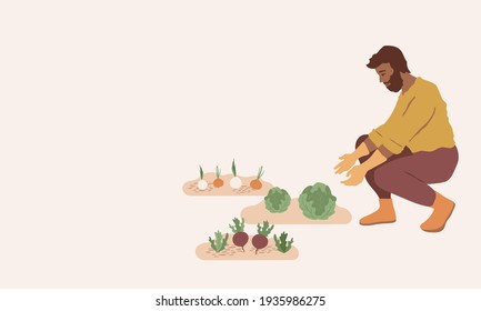 Man works in the garden. Beds with cabbage, onions, beets. Abstract vector illustration. Farming, agronomy concept. Male with beard. Happy gardening card, banner, print with copy space. 