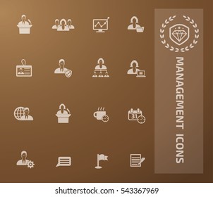 Management, businessman icon set, vector