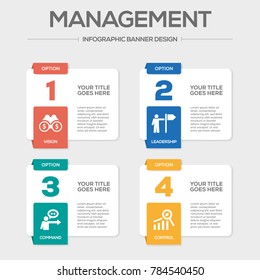 Management Infographic Icons