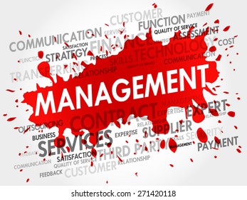 Management related items words cloud, business concept
