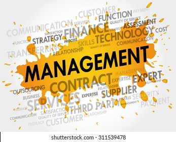 Management related items words cloud, business concept