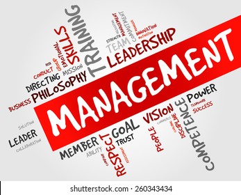 MANAGEMENT word cloud, business concept 