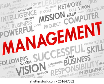 MANAGEMENT word cloud, business concept
