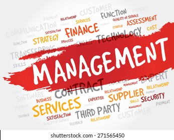 Management word cloud, business concept