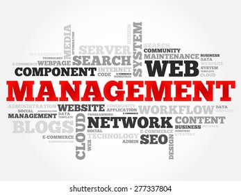 MANAGEMENT word cloud, business concept