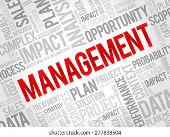 MANAGEMENT word cloud, business concept