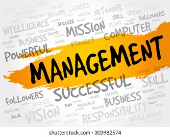 MANAGEMENT word cloud, business concept