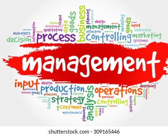 MANAGEMENT word cloud, business concept