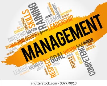 MANAGEMENT word cloud, business concept
