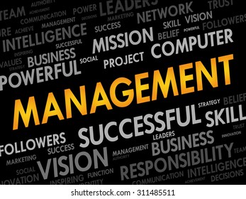 MANAGEMENT word cloud, business concept