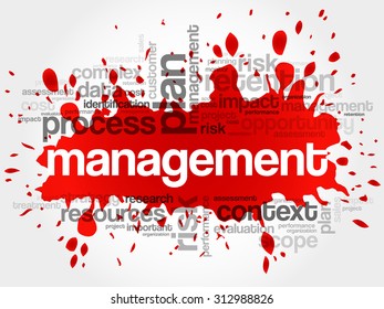 MANAGEMENT word cloud, business concept