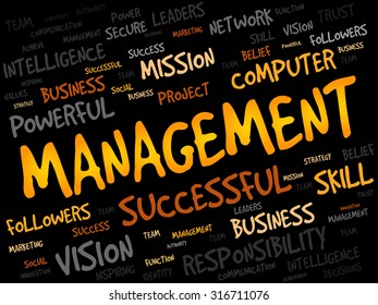 MANAGEMENT word cloud, business concept