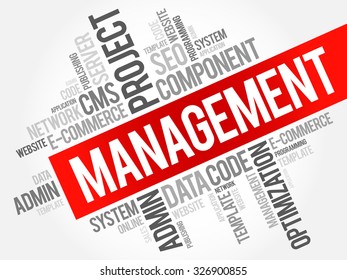 MANAGEMENT word cloud, business concept