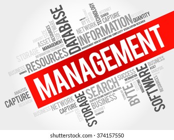 Management word cloud, business concept