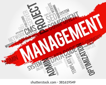 MANAGEMENT word cloud, business concept
