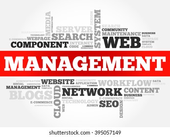 MANAGEMENT word cloud, business concept