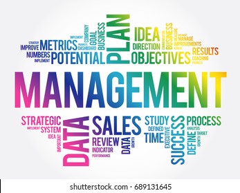 MANAGEMENT word cloud collage, business concept background