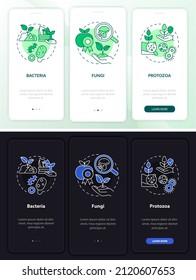 Managing soil microbes night and day mode onboarding mobile app screen. Walkthrough 3 steps graphic instructions pages with linear concepts. UI, UX, GUI template. Myriad Pro-Bold, Regular fonts used