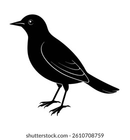Manakin Silhouette Vector Art Design and Black and White Manakin Bird Vector Illustration