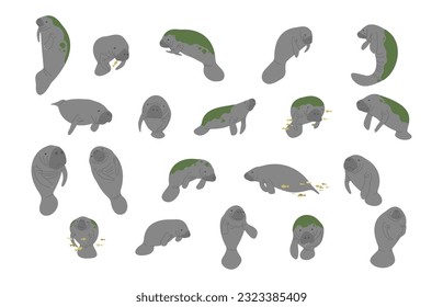 Manatee collection 1 cute on a white background, vector illustration svg