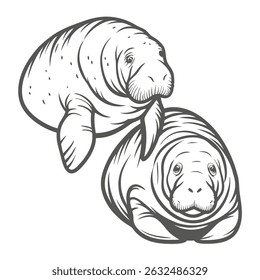 Manatee Duo: Line Art Illustration
