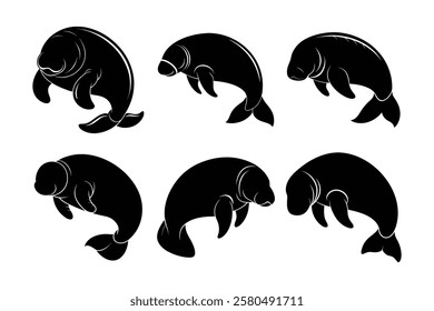 manatee family silhouettes set in black color simple and clean vector illustration on a white background.
