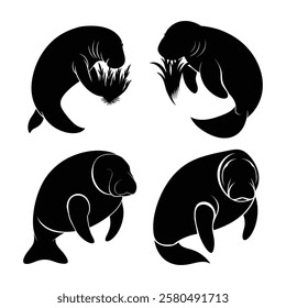 manatee family silhouettes set in black color simple and clean vector illustration on a white background.
