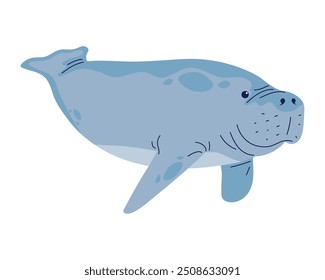 manatee sea animal cartoon isolated
