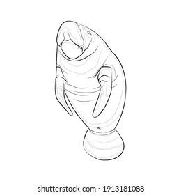 Manatee (Sea cow). Line drawing. Black and white illustration. Vector. svg