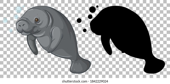 Manatee with its silhouette on transparent background illustration svg