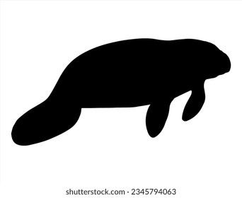 Manatee silhouette vector art, Sea life svg
