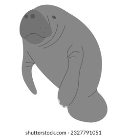 Manatee Single 11 cute on a white background, vector illustration svg