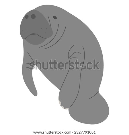 Manatee Single 11 cute on a white background, vector illustration
