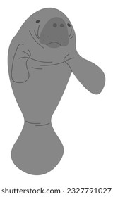 Manatee Single 15 cute on a white background, vector illustration