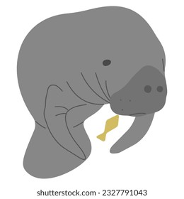 Manatee Single 2 cute on a white background, vector illustration