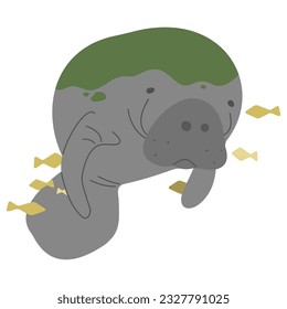 Manatee Single 5 lindo en el fondo blanco, ilustración vectorial
