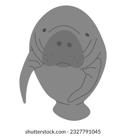 Manatee Single 6 cute on a white background, vector illustration