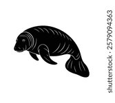Manatee Vector Art Illustration Design