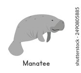 Manatee vector illustration, cartoon clipart, animal in flat style. Sea animals, underwater creatures, ocean animals, marine life concept. Manatee vector design isolated on white
