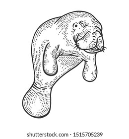 Manatee water animal sketch engraving vector illustration. Scratch board style imitation. Hand drawn image. svg