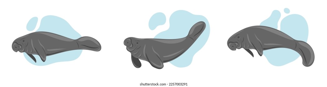 Manatees. Sea cows swimming underwater. Set of marine dwellers. Concept of sea and ocean life. Vector illustration