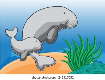 Manatees swimming in the ocean.