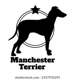 Manchester Terrier cão silhueta, cão, cão raças, logotipo, vetor, silhueta, logotipo design, animal, ilustração, ícone, sinal, design, preto, símbolo, animal de estimação