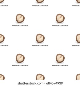 Manchurian walnut.Different kinds of nuts single icon in cartoon style vector symbol stock illustration.