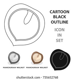 Manchurian walnut.Different kinds of nuts single icon in cartoon style vector symbol stock illustration.