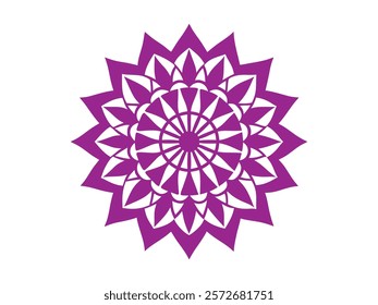 Mandala art design vector illustration