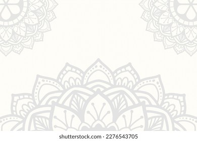 Mandala Background ethnic style design vector illustration